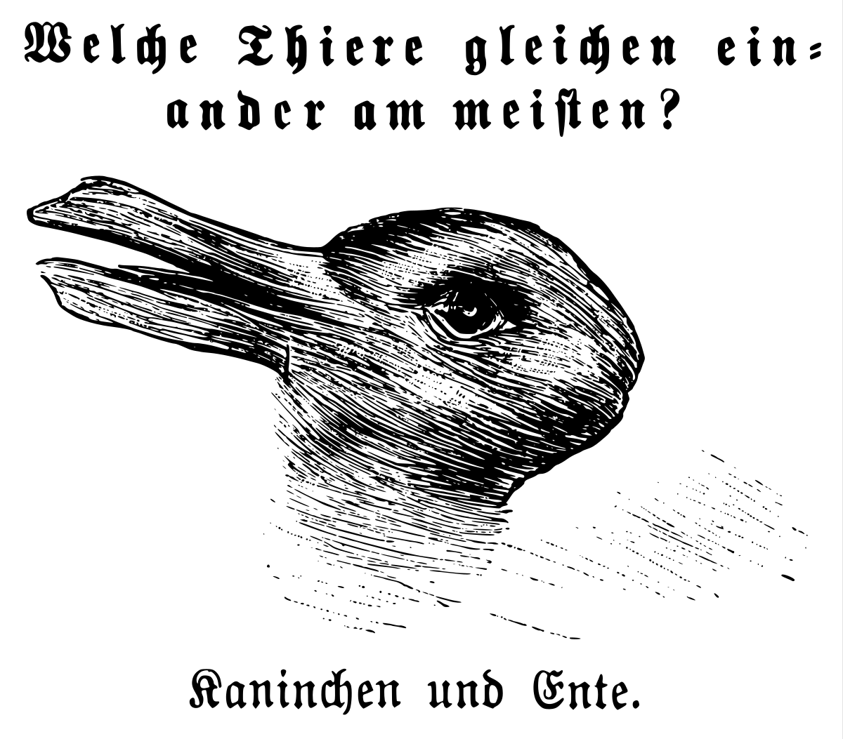 canard-lapin, Fliegende Blätter